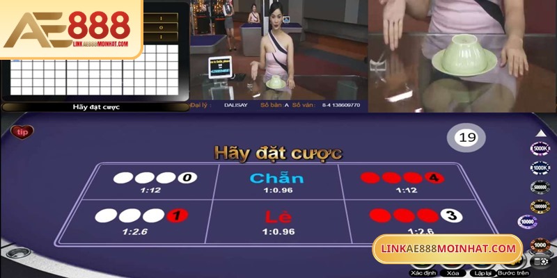 Hiểu từng loại hình giúp dự đoán kết quả chính xác