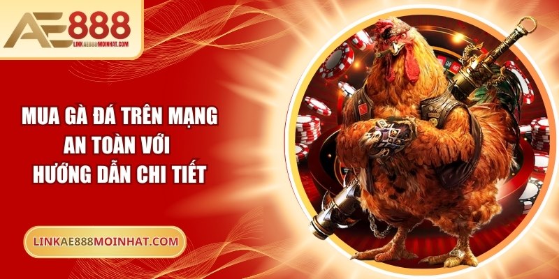Mua gà đá trên mạng